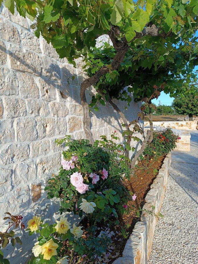شقة Demetra Trulli Experience مونوبولي المظهر الخارجي الصورة